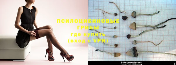 трава Новозыбков