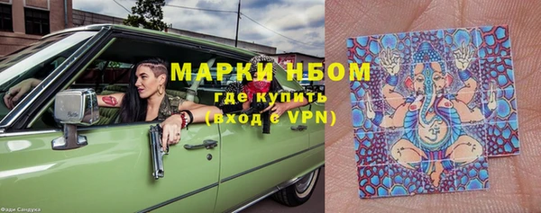 трава Новозыбков