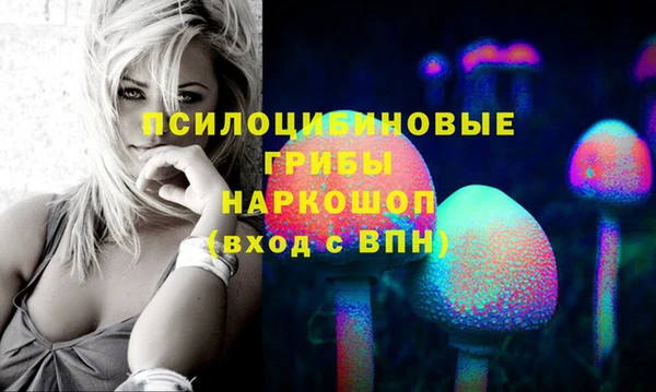 трава Новозыбков
