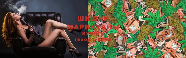 трава Новозыбков